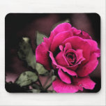 Antique Love Rose Mousemats