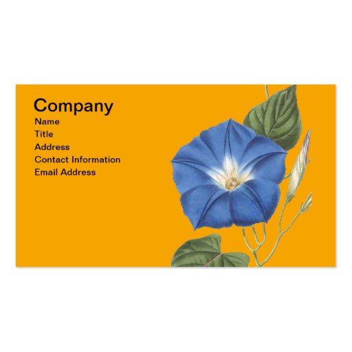 Antique Morning Glory Print Business Card Template (front side)