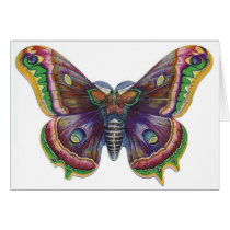 Antique Moth cards