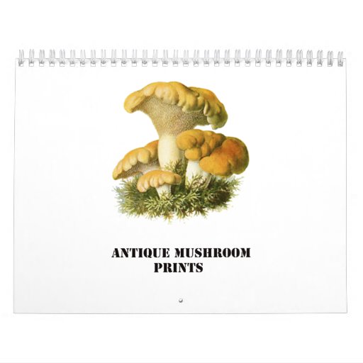 Mushroom Calendars and Mushroom Wall Calendar Template Designs