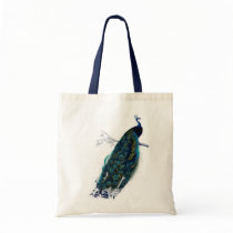 Antique Natural History Print Peacok Bags