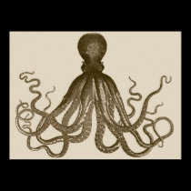 Antique Octopus Poster posters