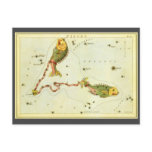 Antique Pisces, the Fish, Signs of the Zodiac Post Card
