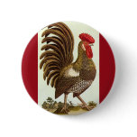 Antique Proud Rooster, Backyard Chickens Pinback Buttons