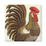 Antique Proud Rooster, Backyard Chickens Fridge Magnet