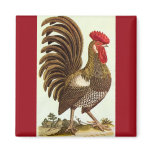 Antique Proud Rooster, Backyard Chickens Fridge Magnets