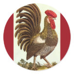 Antique Proud Rooster, Backyard Chickens Stickers