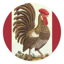 Antique Proud Rooster, Backyard Chickens Stickers