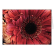 Antique Red Greeting Card