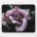 Antique Rose mousepads