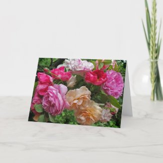 Antique Roses Note Card card