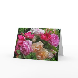 Antique Roses Note Card card