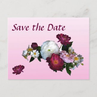 Antique Roses Save the Date postcard