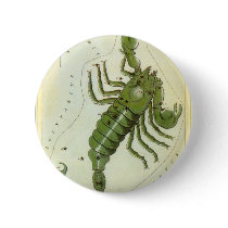 Antique Scorpio, Scorpion, Signs of the Zodiac Pinback Button