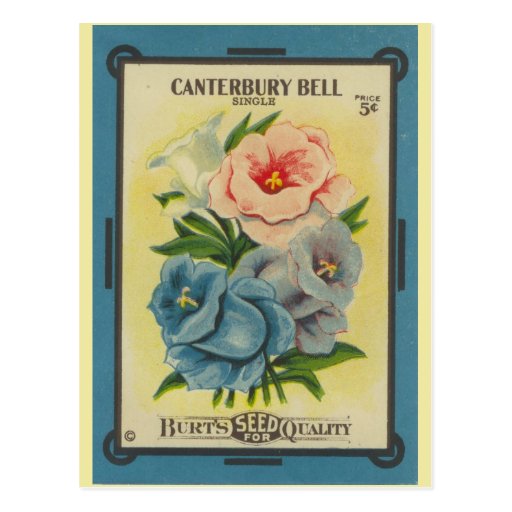 Antique Seed Packet: Canterbury Bells Post Card