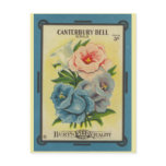 Antique Seed Packet: Canterbury Bells Post Card