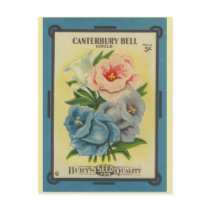 Antique Seed Packet: Canterbury Bells postcards