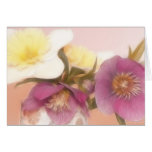 Antique Tone Hellebores and Daffodils Cards