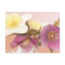 Antique Tone Hellebores and Daffodils Post Card