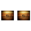Antique Tractor mug