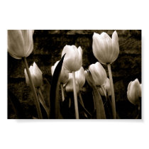 Antique Tulips posters