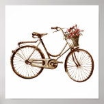 Antique Vintage Bicycle Basket Flowers Roses Print