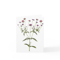 Antique Vintage Wildflower Notecards