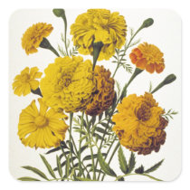 Antique Yellow Flowers Square Stickers