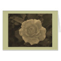 antique yellow rose cards by ELF1020 antique yellow rose cards
