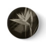 Antiqued Bird of Paradise 10