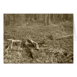 Antler Log Card