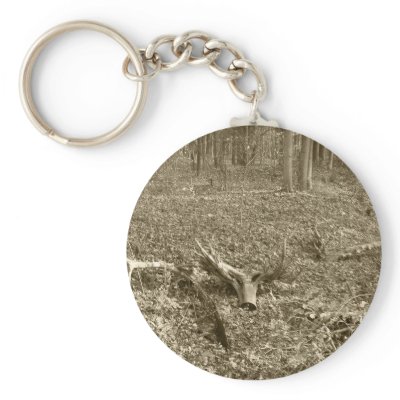 Antler Log Keychain by stonedorphotos