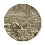 Antler Log Magnet