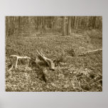 Antler Log Poster
