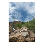 Antler, rock and sky. Bland Canyon posters