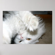 Antoinette Print
