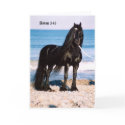 Anton At the Beach cards