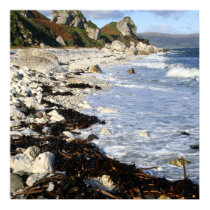 Antrim Shoreline posters