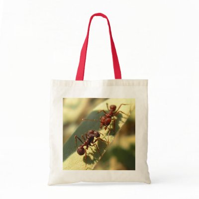 Ants & Attitude - Custom Tote Bag by bontondesigns