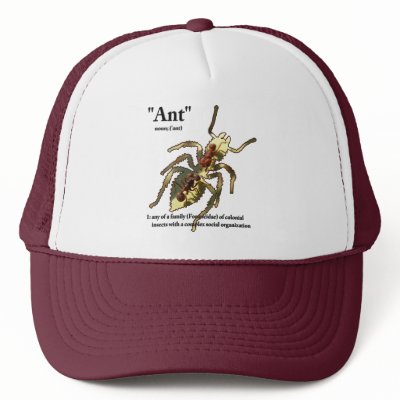 Ants & Attitude - Hat #3 by bontondesigns