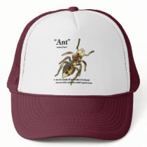 Ants & Attitude - Hat #3