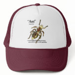 Ants &amp; Attitude - Hat #3