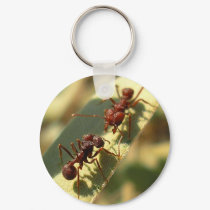 Ants & Attitude - Keychain #3 by bontondesigns Ants & Attitude - Keychain #3