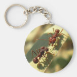 Ants & Attitude - Keychain #3