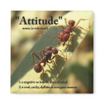 Ants & Attitude - Magnet #1