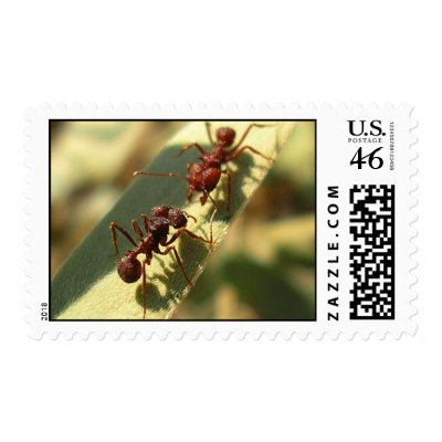 Ants & Attitude - Postage #1 by bontondesigns
