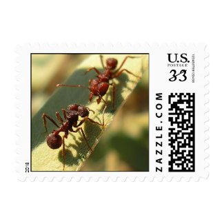 Ants & Attitude - Postage #2 stamp