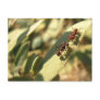 Ants & Attitude - Postcard #1