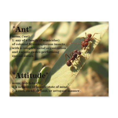 Ants & Attitude - Postcard #2 by bontondesigns