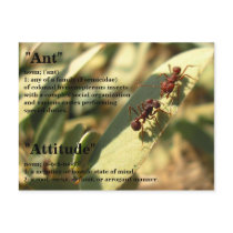 Ants & Attitude - Postcard #2 by bontondesigns Ants & Attitude - Postcard #2